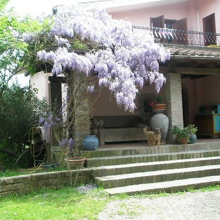 Hotel L'Oasi Di Aaron Formello Exterior foto