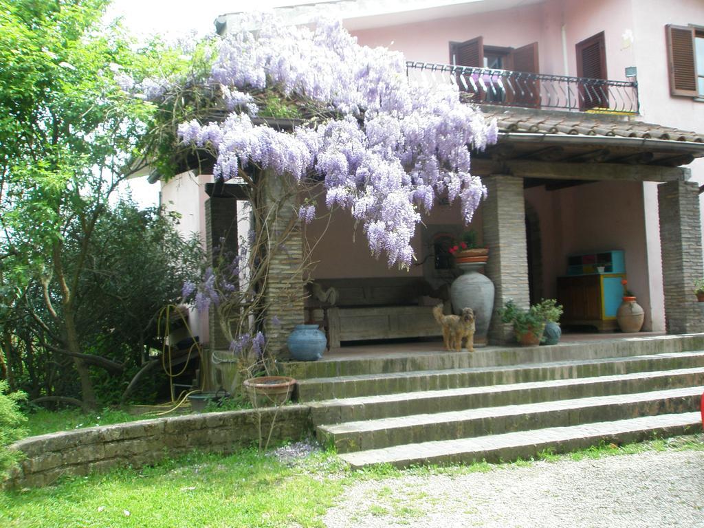 Hotel L'Oasi Di Aaron Formello Exterior foto